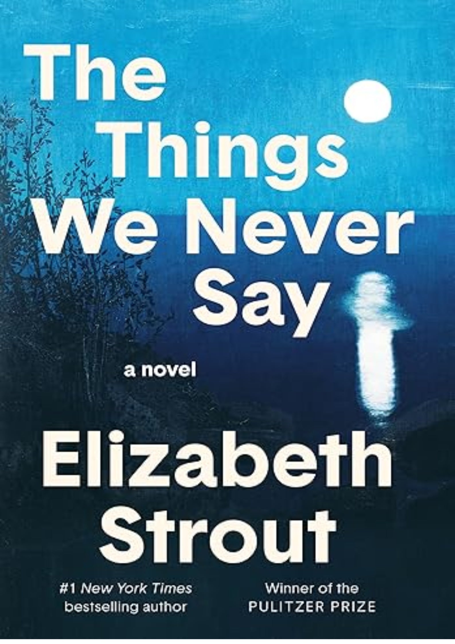 The Things We Never Say: A Novel