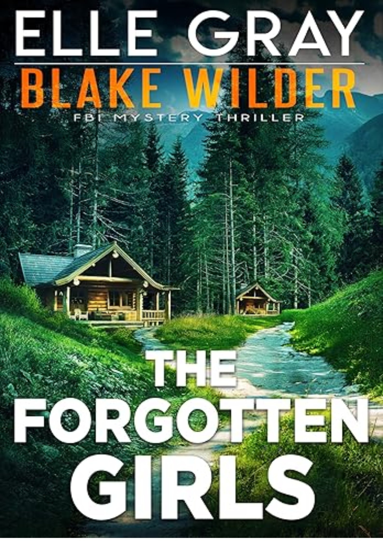 The Forgotten Girls (Blake Wilder FBI Mystery Thriller Book 33)