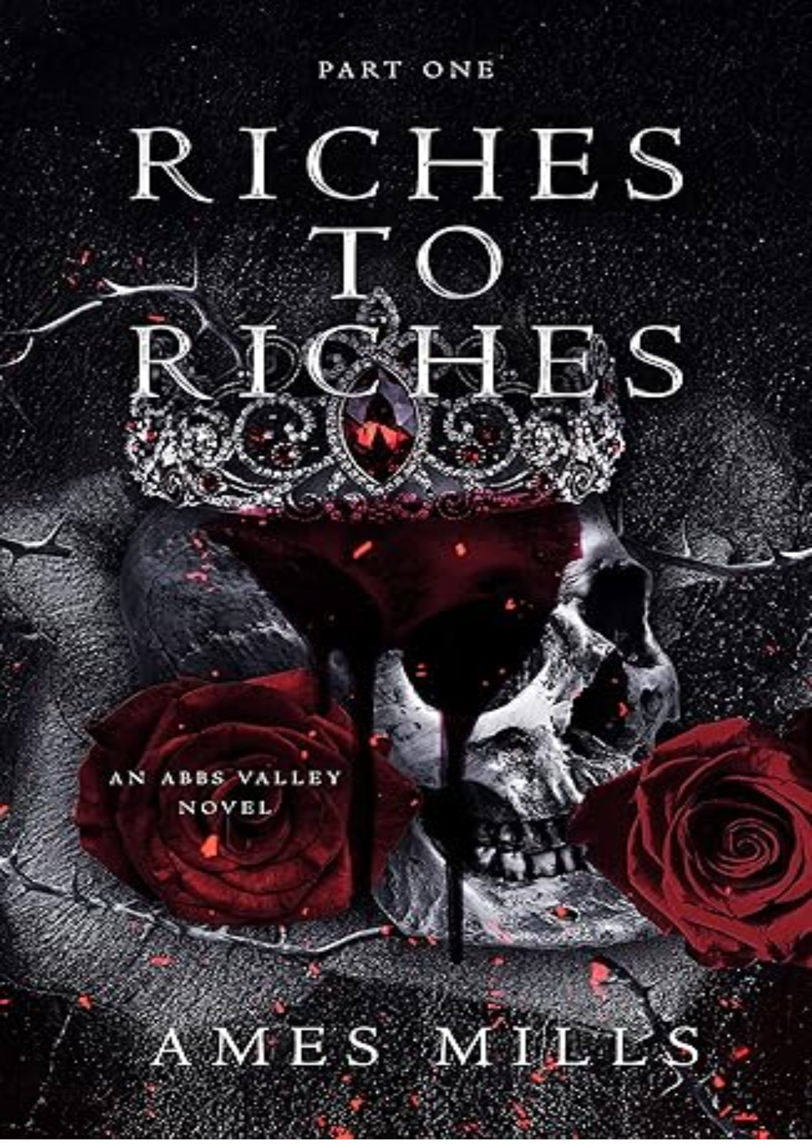 Riches To Riches: Part One (Abbs Valley Book 1)