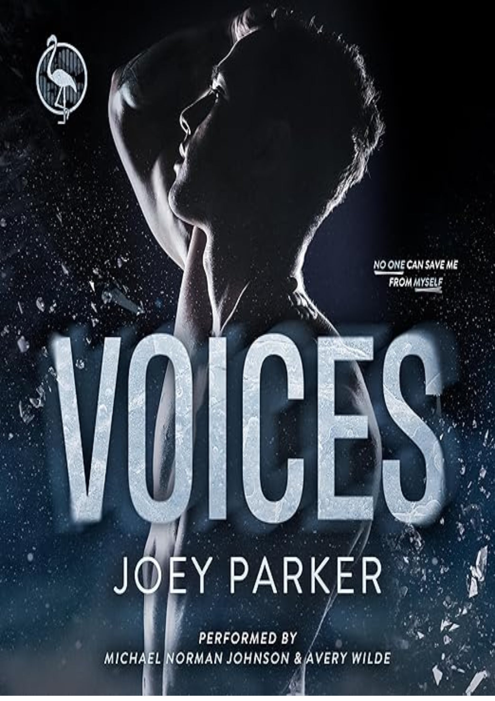 Voices: M/M College Hockey, Hurt/Comfort Romance (Irish Knights Hockey, Book 1)