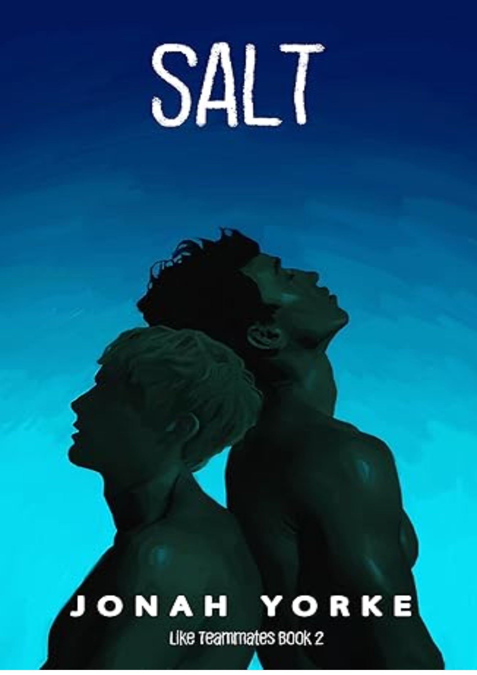 Salt (Like Teammates Book 2)