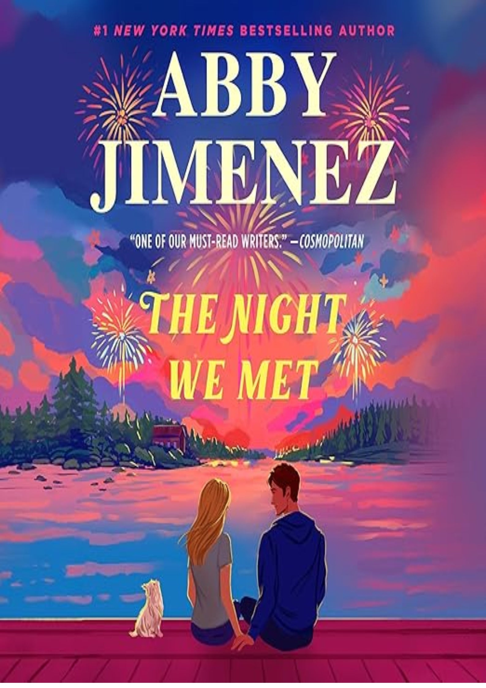The Night We Met