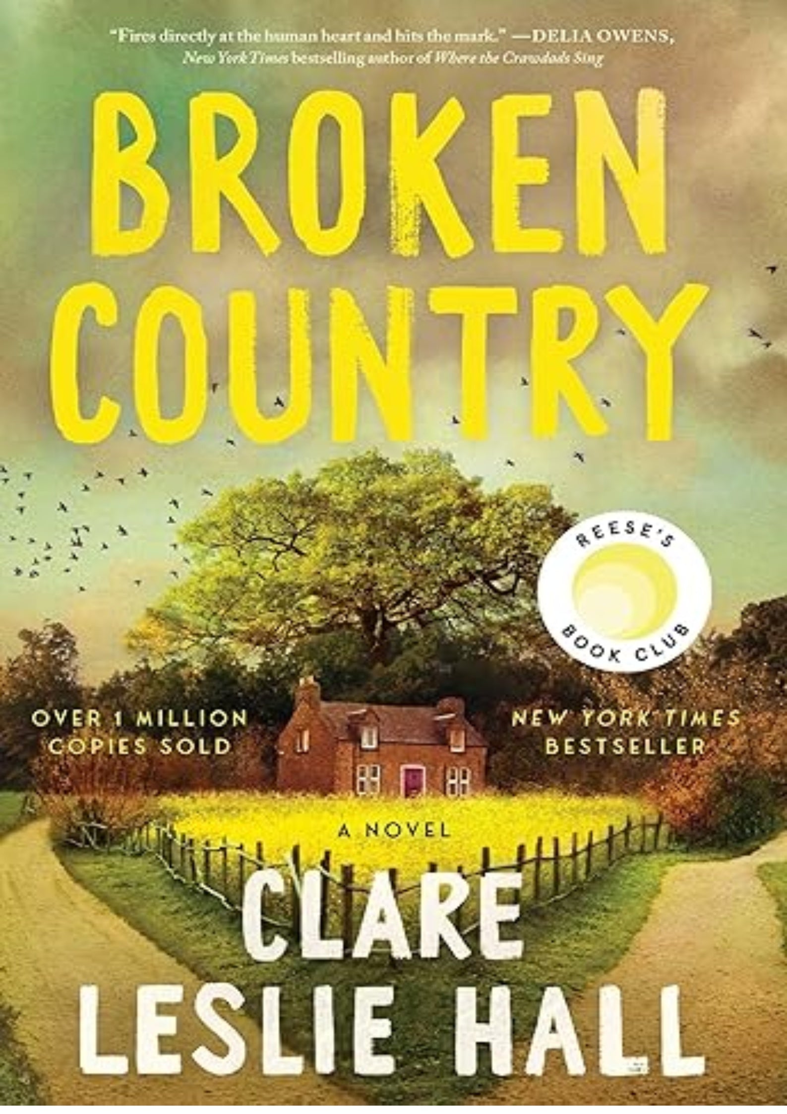 Broken Country (Reese's Book Club)