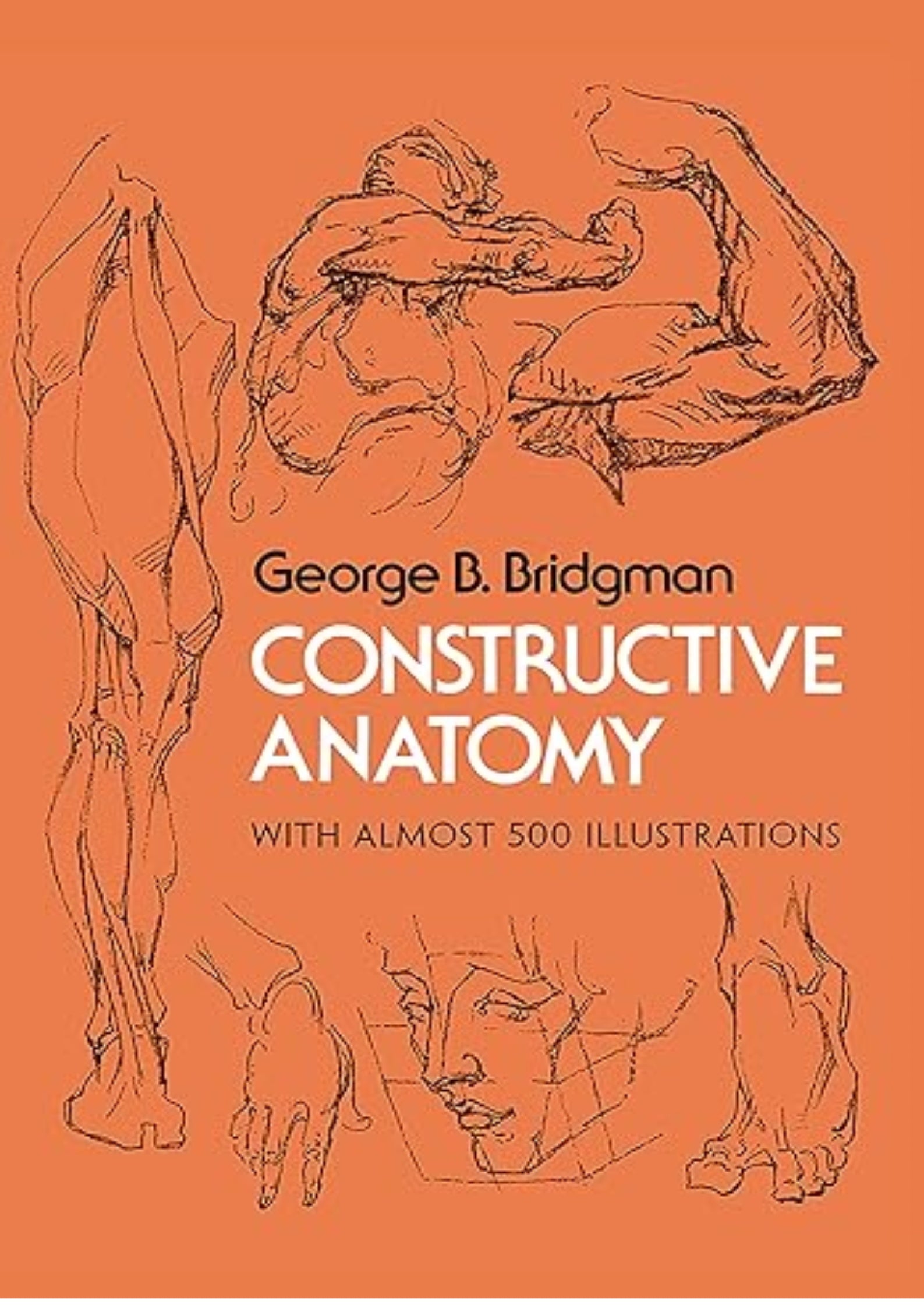 Constructive Anatomy: Includes Nearly 500 Illustrations (Dover Anatomy for Artists)