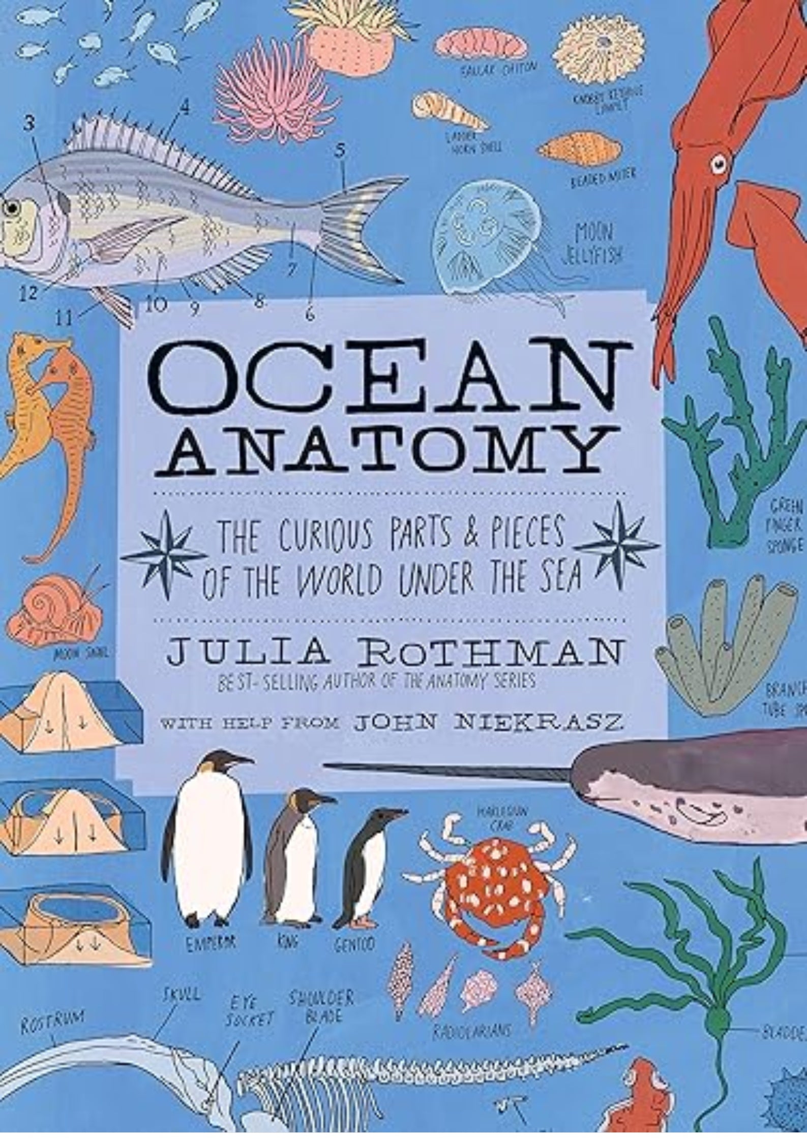 Ocean Anatomy: The Curious Parts & Pieces of the World under the Sea