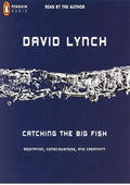 Catching the Big Fish: Meditation, Consciousness, and Creativity