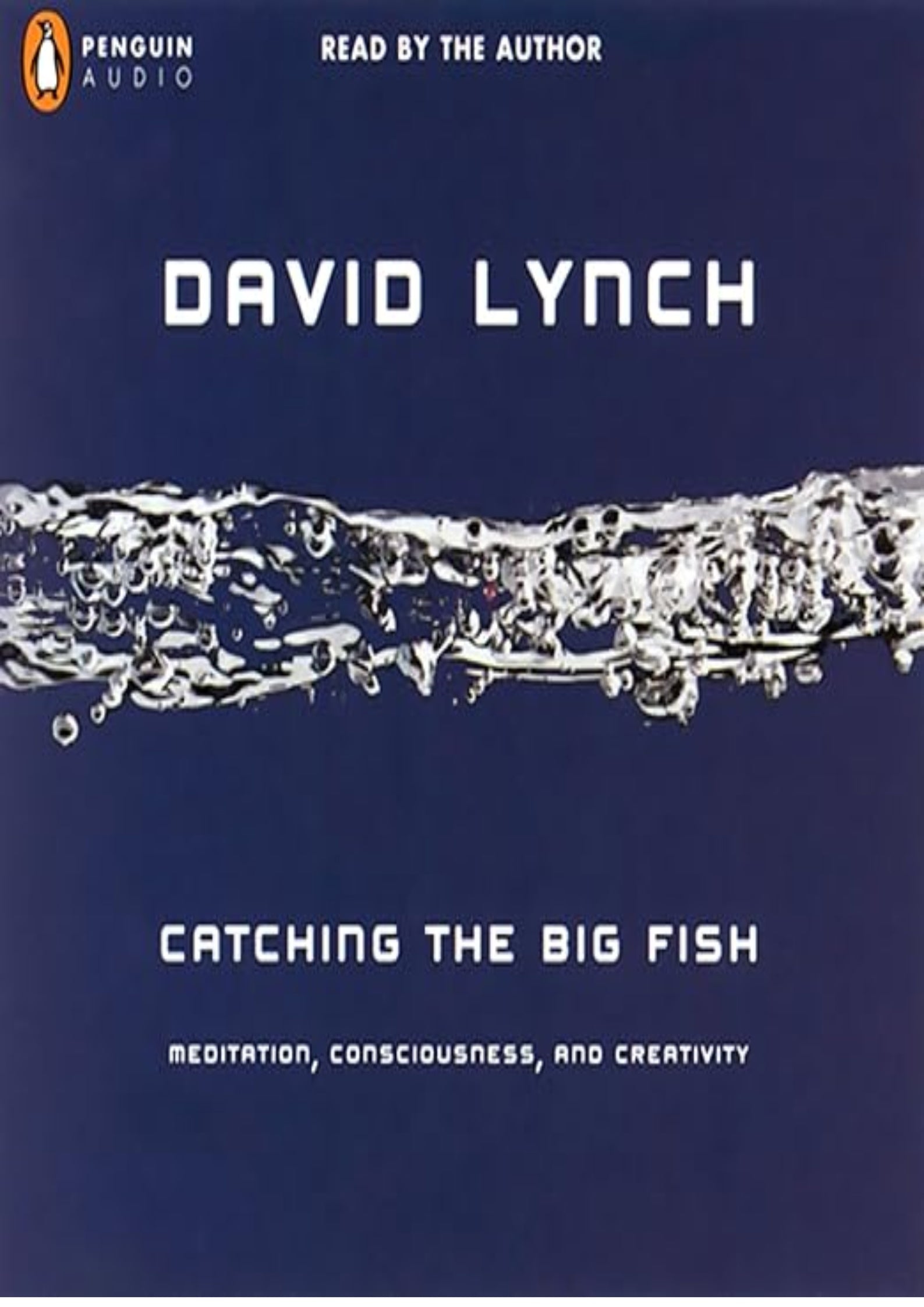 Catching the Big Fish: Meditation, Consciousness, and Creativity