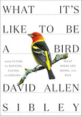 What It's Like to Be a Bird: From Flying to Nesting, Eating to Singing--What Birds Are Doing, and Why (Sibley Guides)