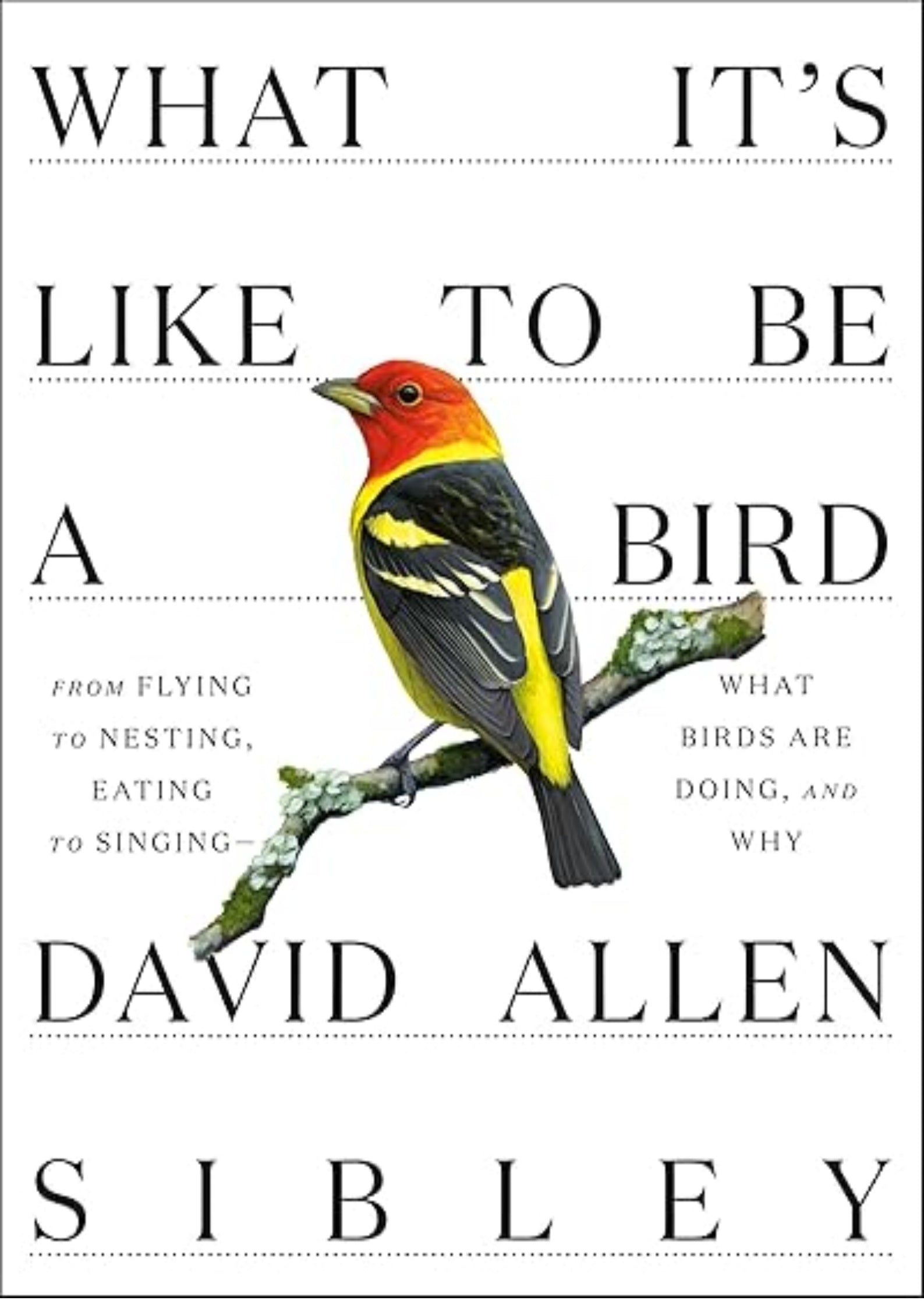 What It's Like to Be a Bird: From Flying to Nesting, Eating to Singing--What Birds Are Doing, and Why (Sibley Guides)