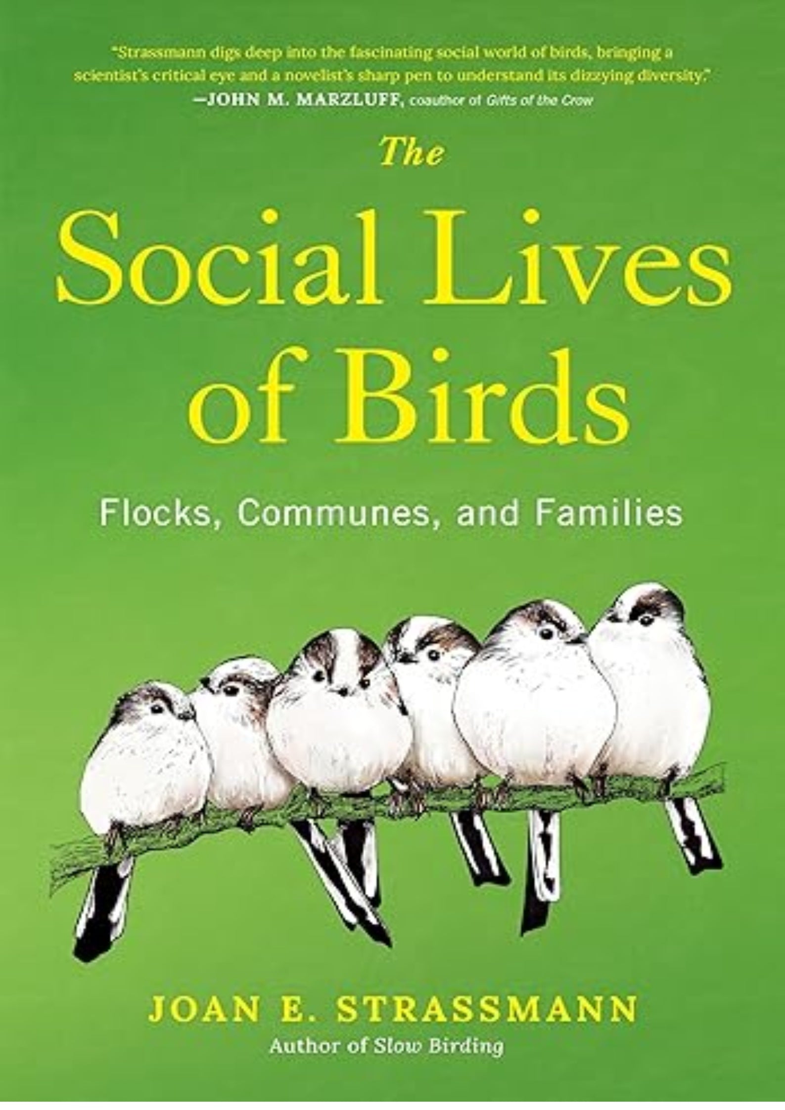 The Social Lives of Birds: Flocks, Communes, and Families