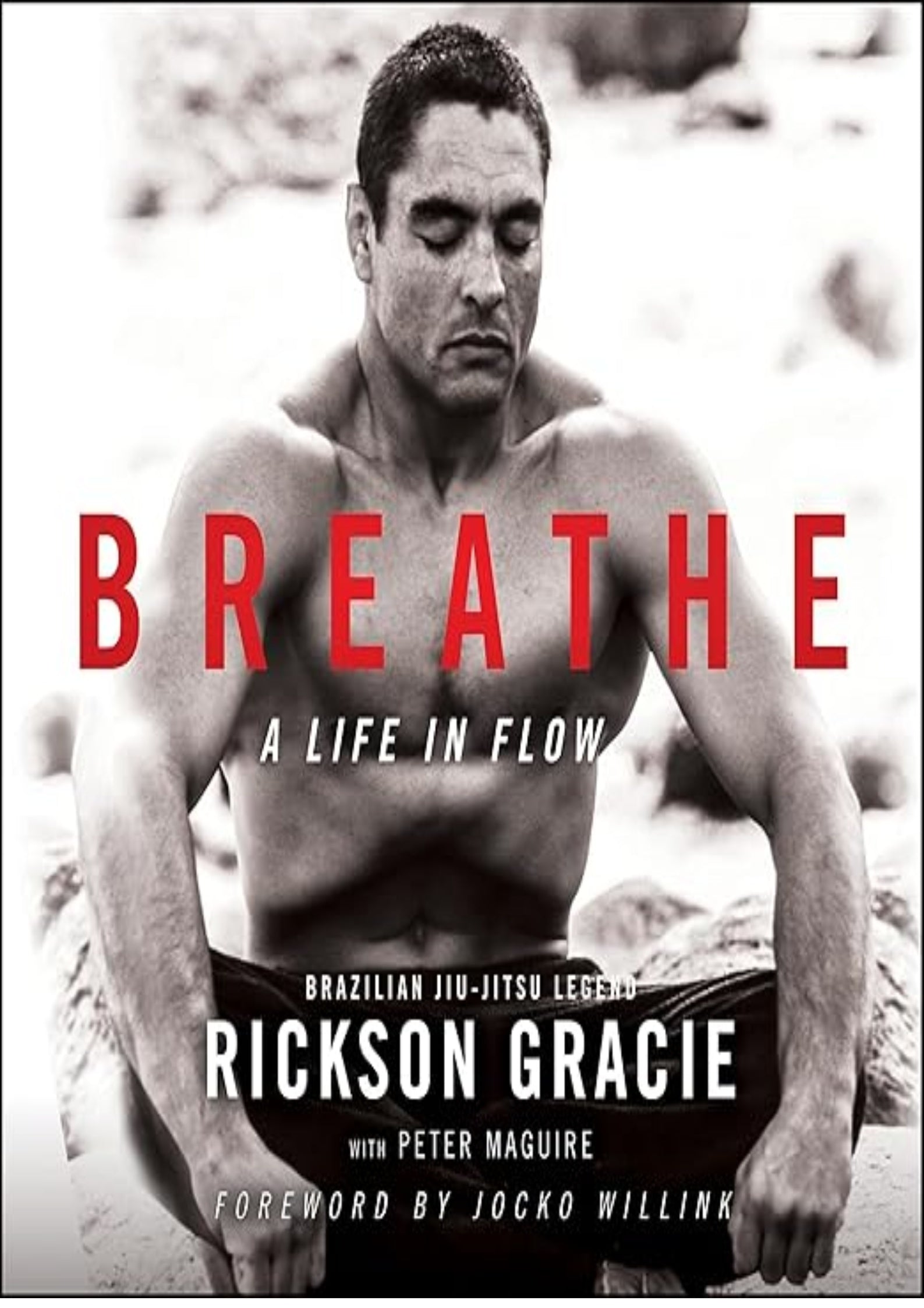 Breathe: A Life in Flow