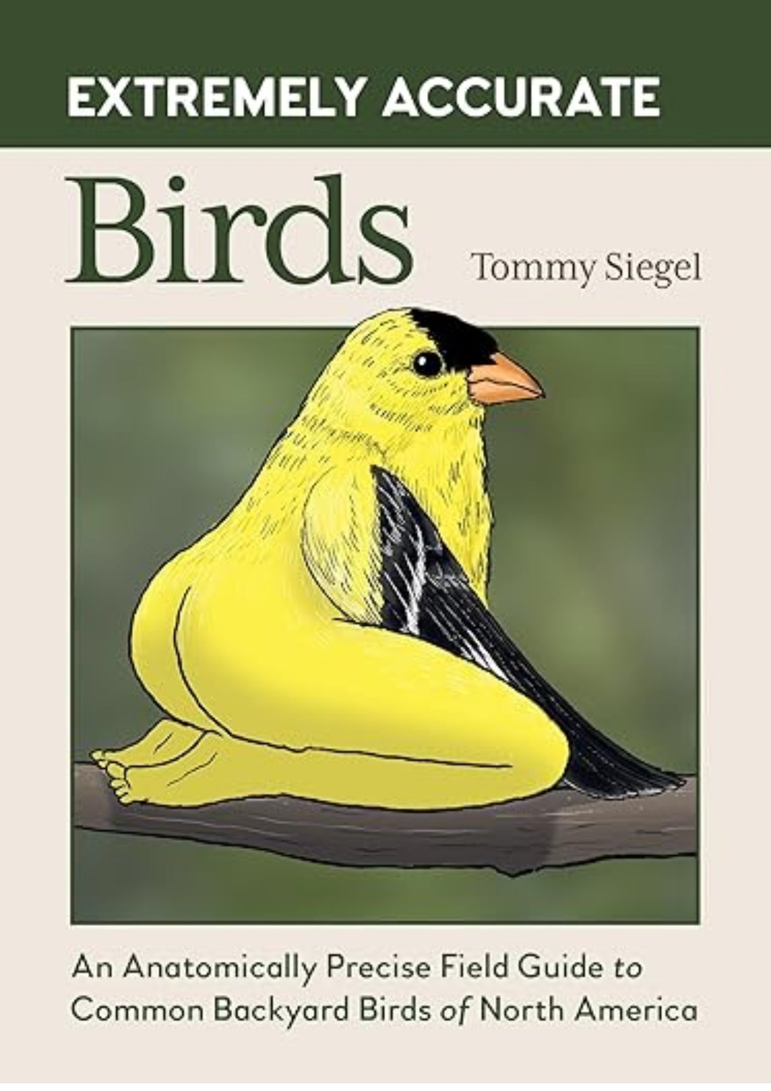Extremely Accurate Birds: An Anatomically Precise Field Guide to Common Backyard Birds of North America