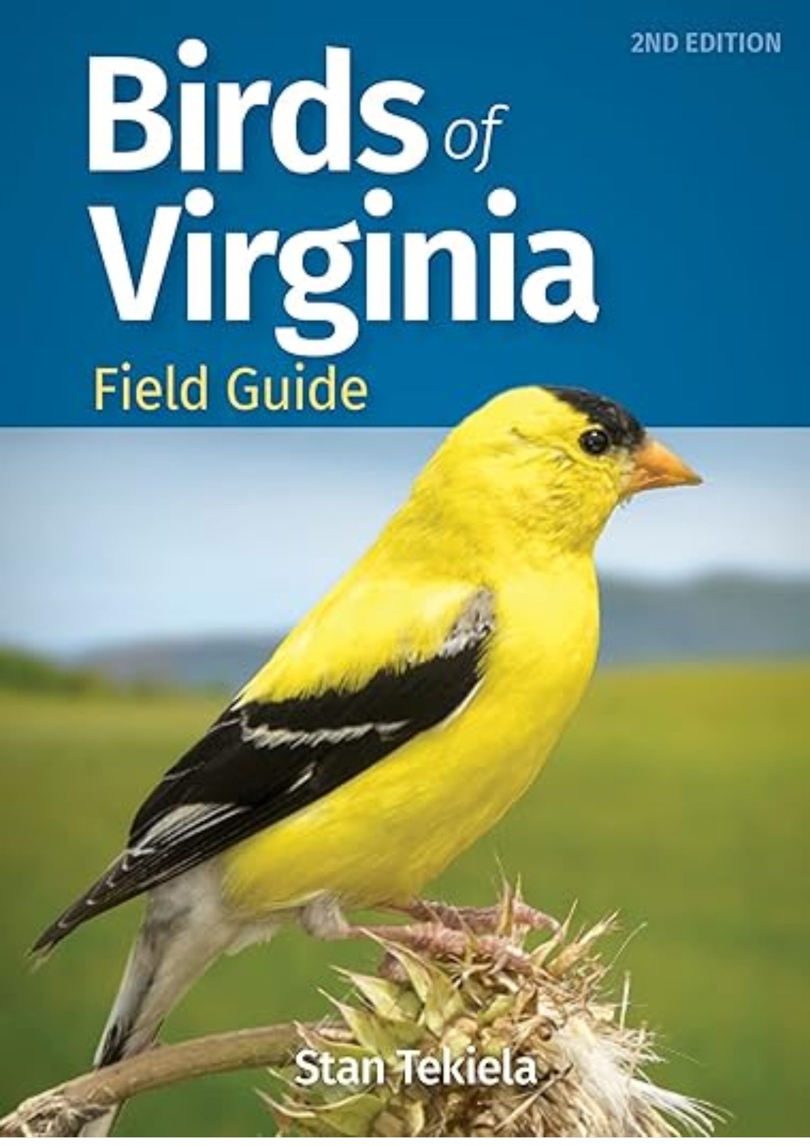 Birds of Virginia Field Guide (Bird Identification Guides)