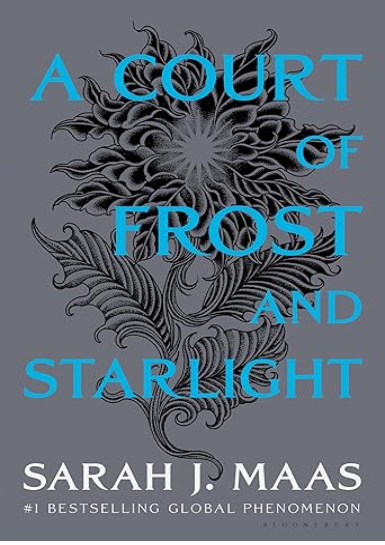 A Court of Frost and Starlight (A Court of Thorns and Roses, 4)