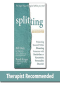 Splitting: Protecting Yourself While Divorcing Someone with Borderline or Narcissistic Personality Disorder