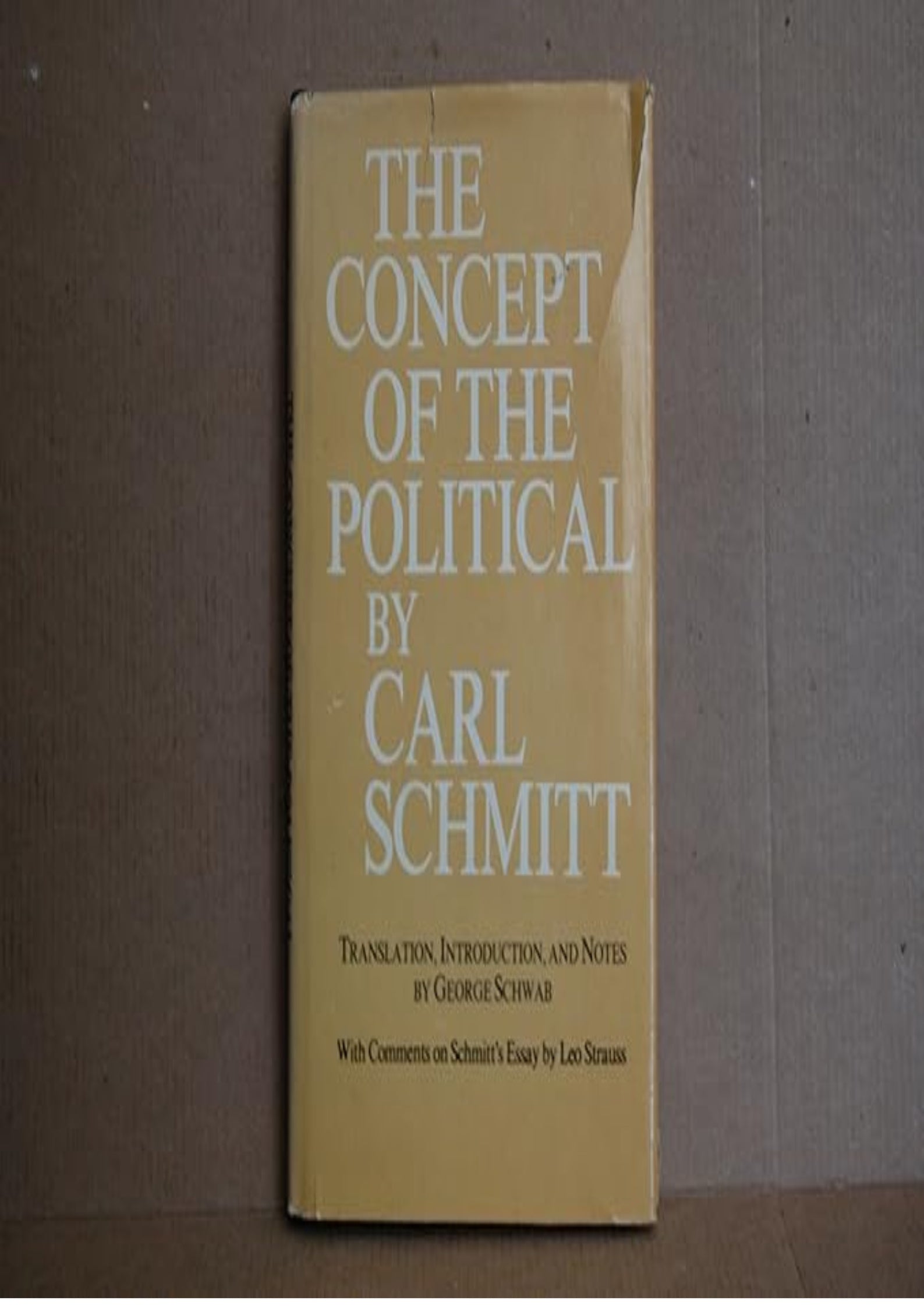Concept of the Political