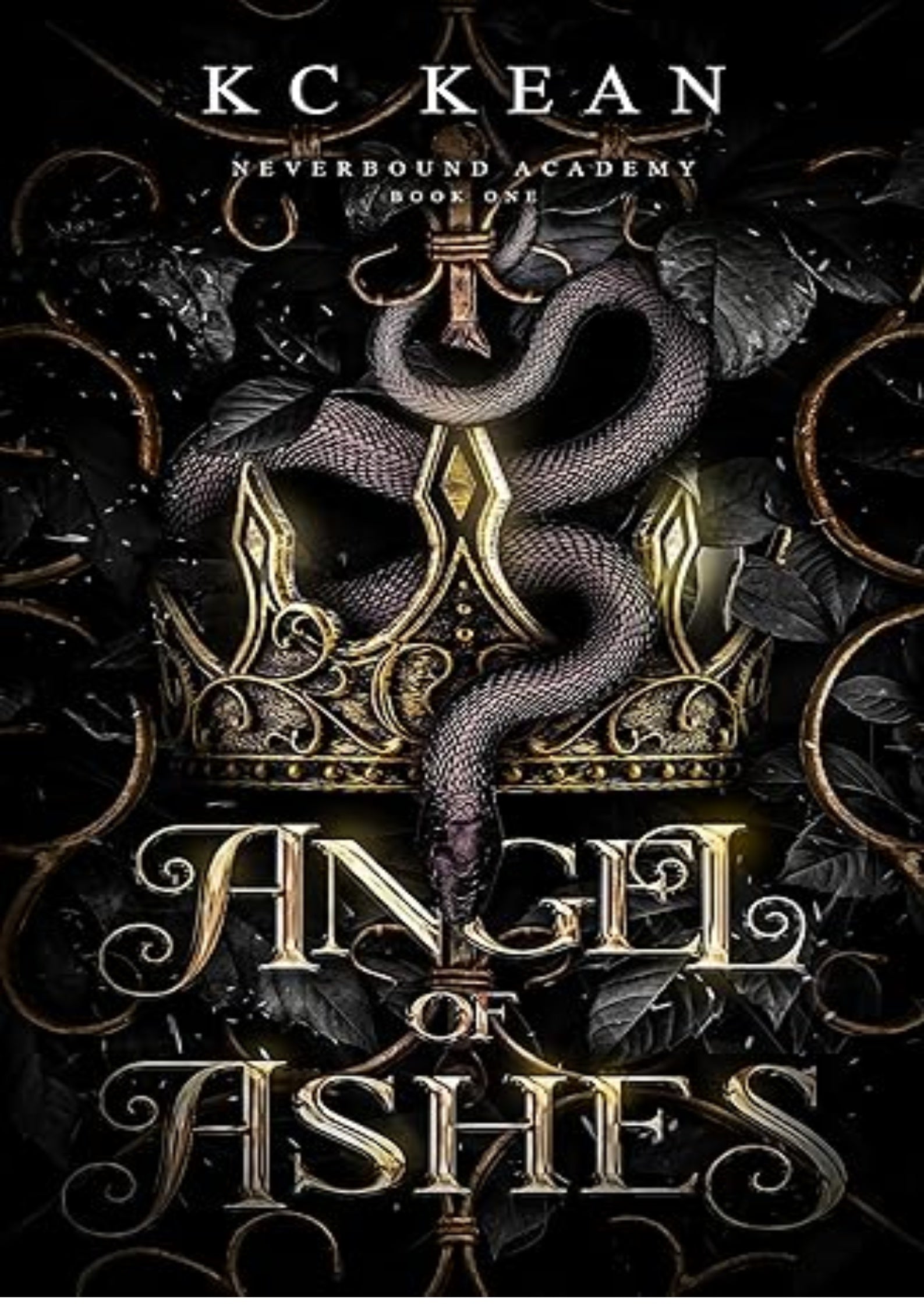 Angel of Ashes: A Fantasy Fated Mates Academy Romance (Neverbound Academy Book 1)