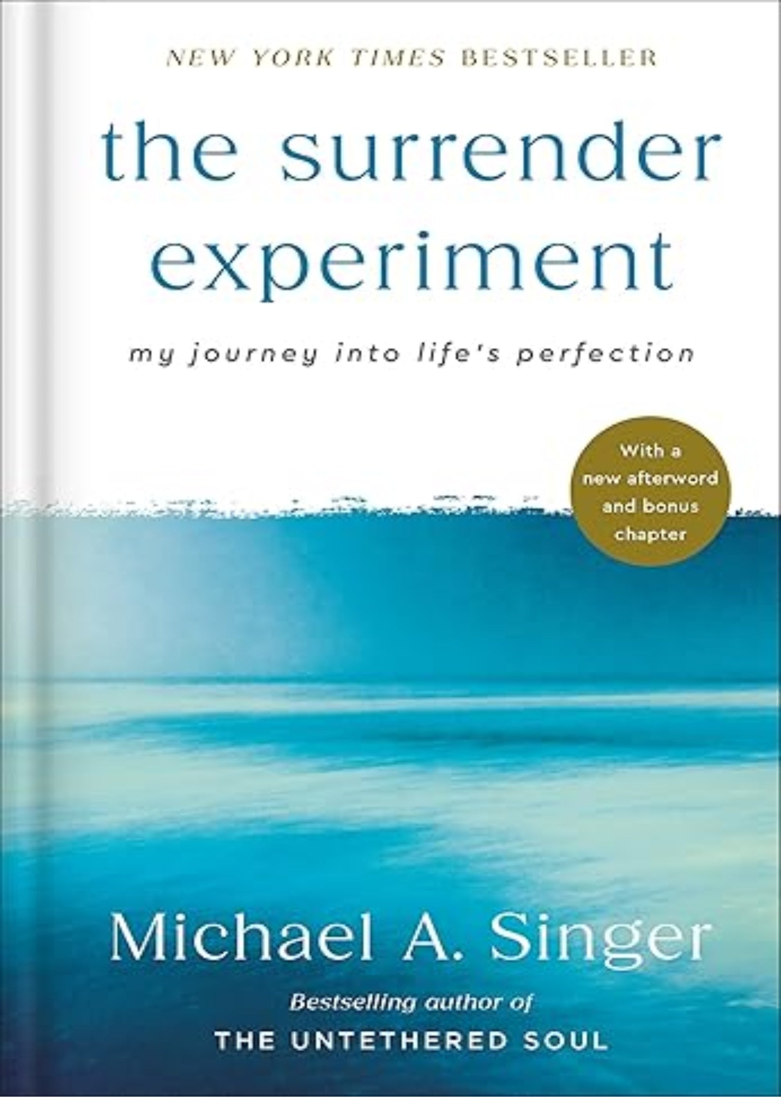 The Surrender Experiment: My Journey into Life's Perfection