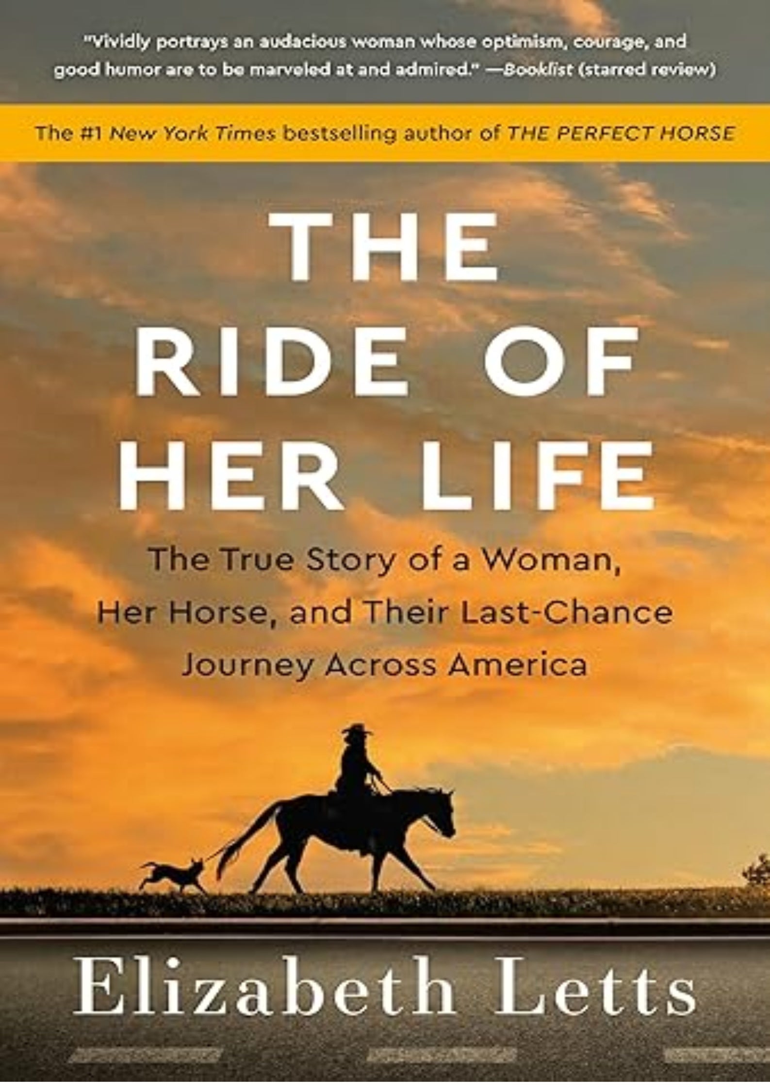 The Ride of Her Life: The True Story of a Woman, Her Horse, and Their Last-Chance Journey Across America