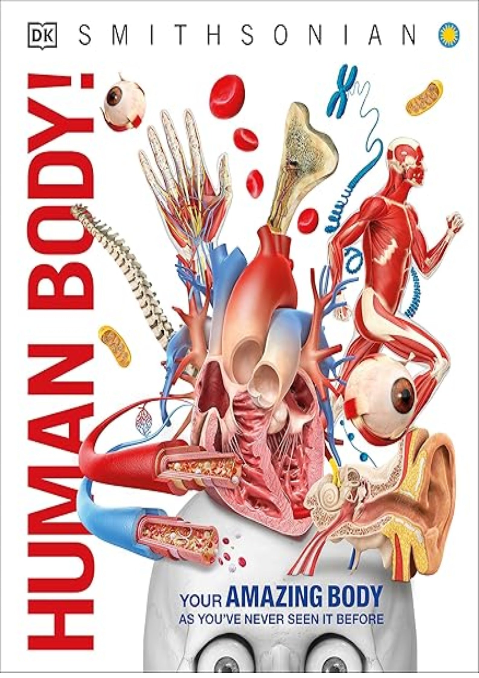 Knowledge Encyclopedia Human Body!: Human Anatomy as You've Never Seen It Before