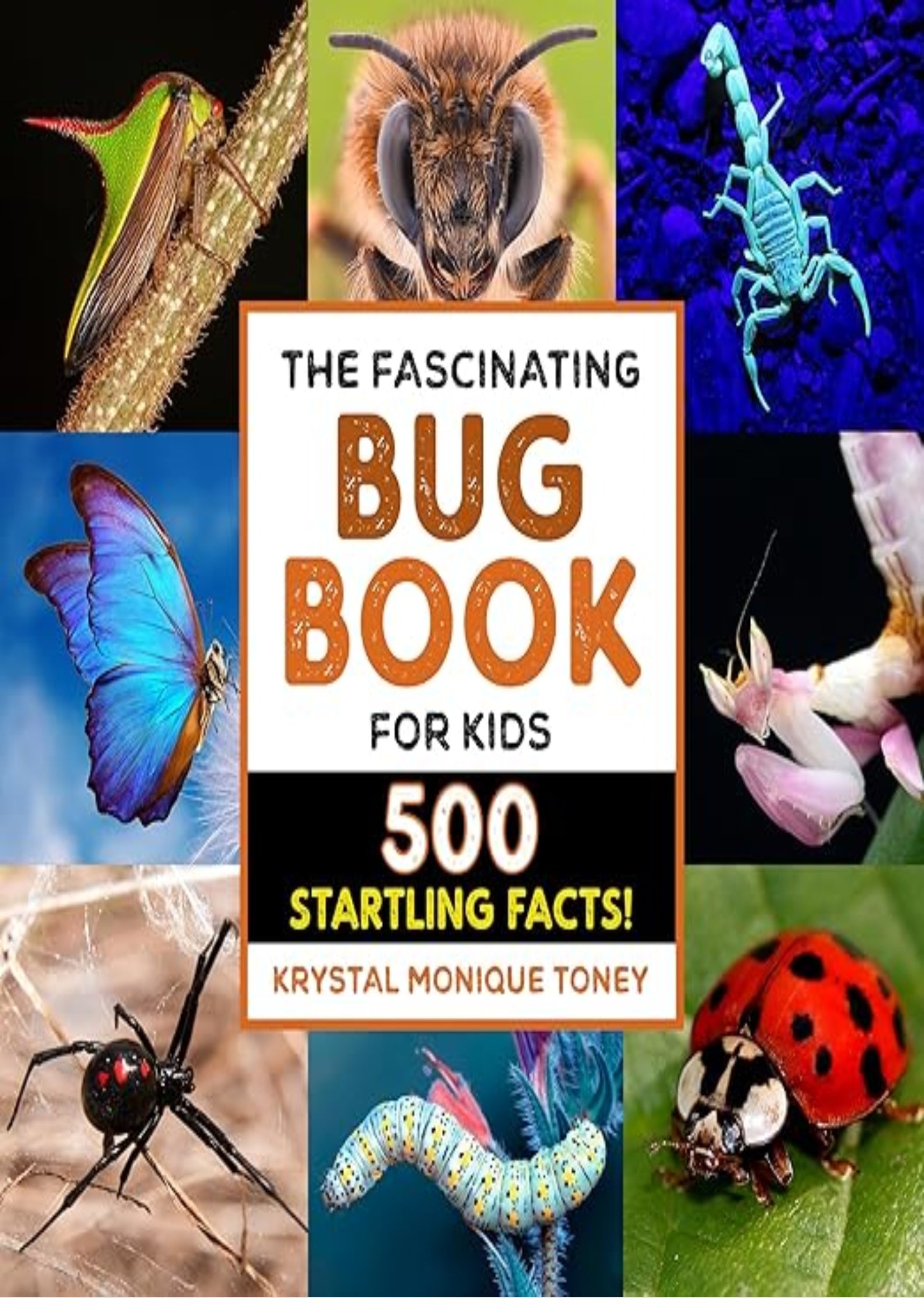 The Fascinating Bug Book for Kids: 500 Startling Facts! (Fascinating Facts)