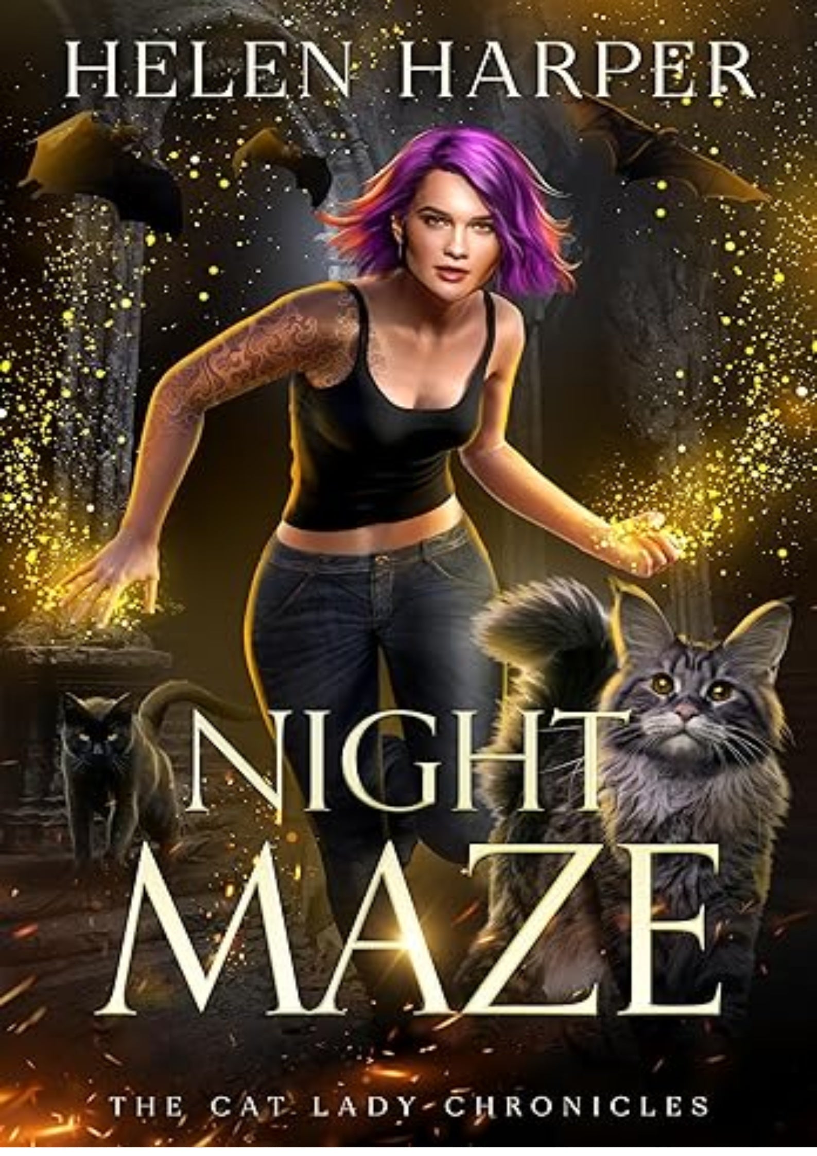 Night Maze (The Cat Lady Chronicles Book 4)