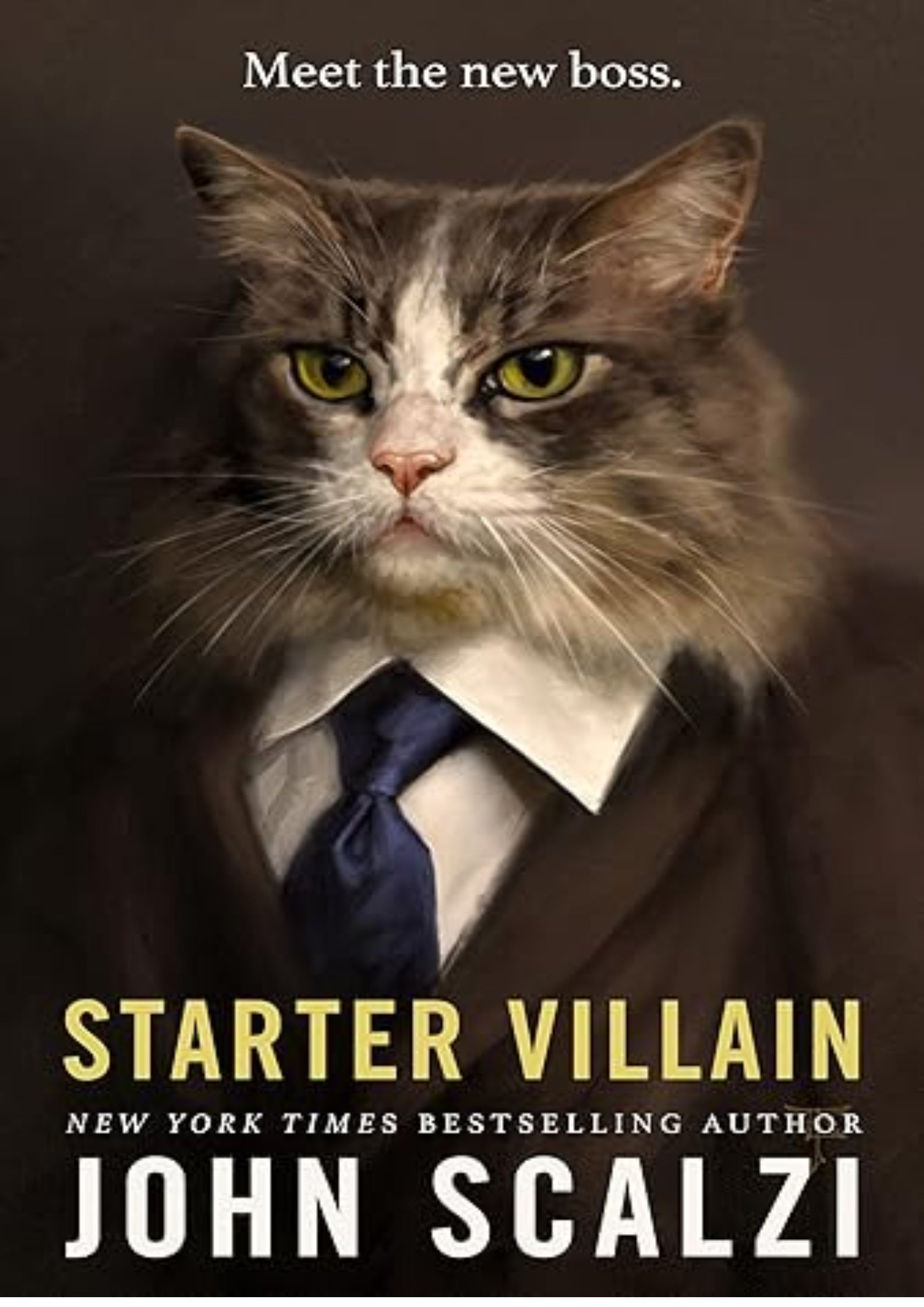 Starter Villain