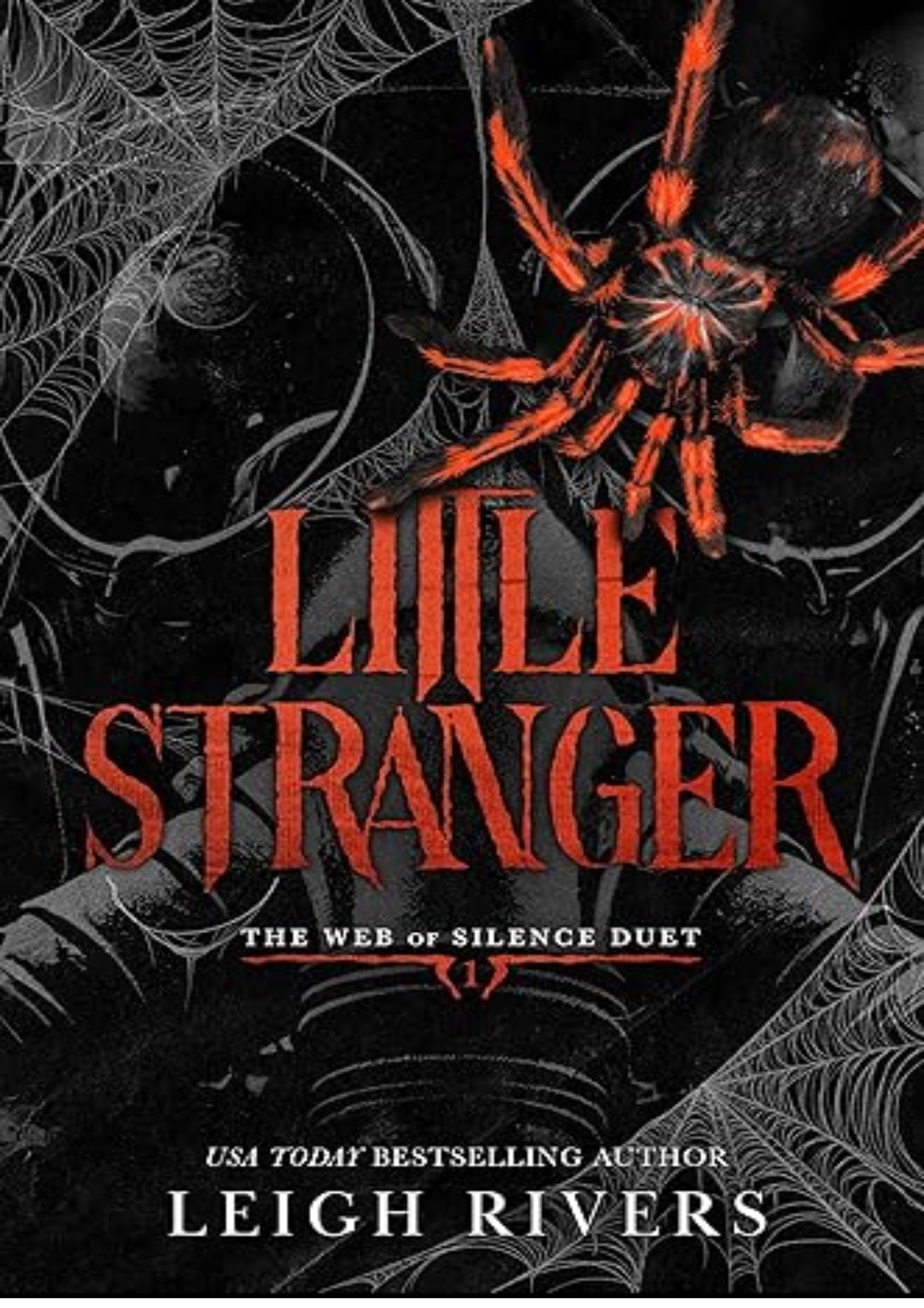 Little Stranger: A Dark Taboo Romance (The Web of Silence Duet Book 1)
