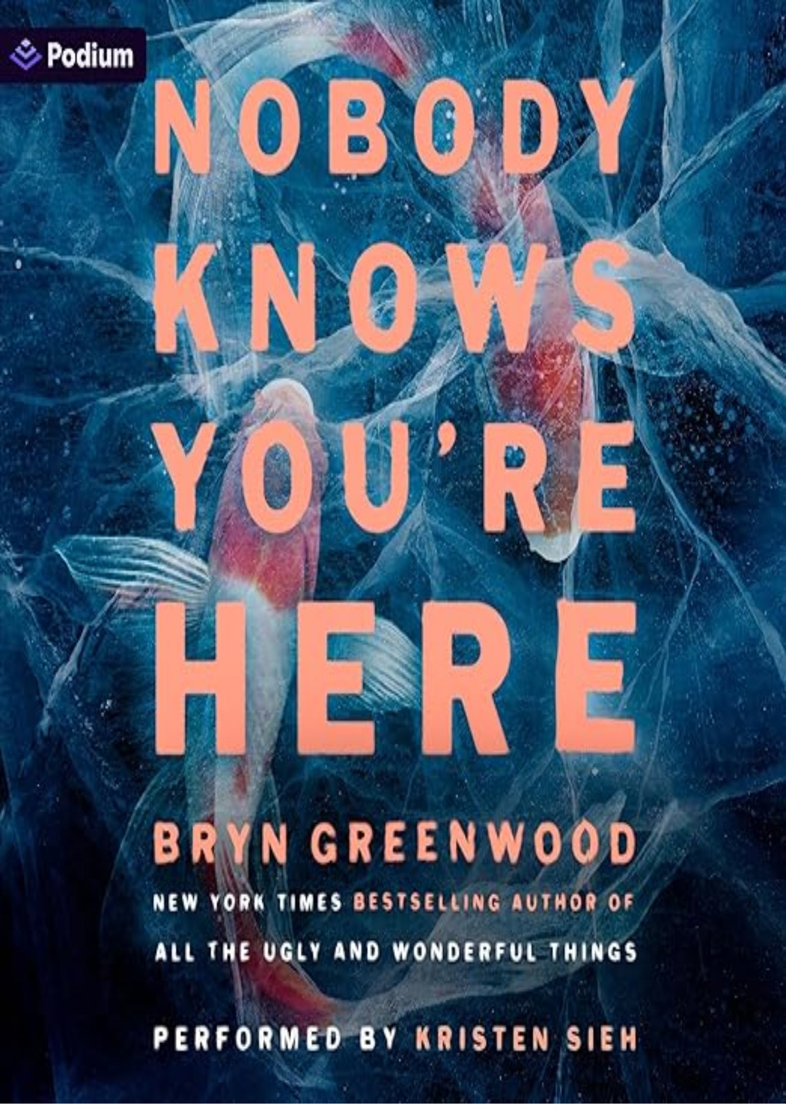 Nobody Knows You're Here: A Psychological Suspense Thriller