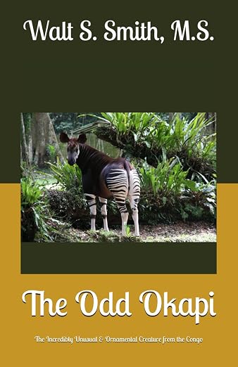 Title Book Cover
