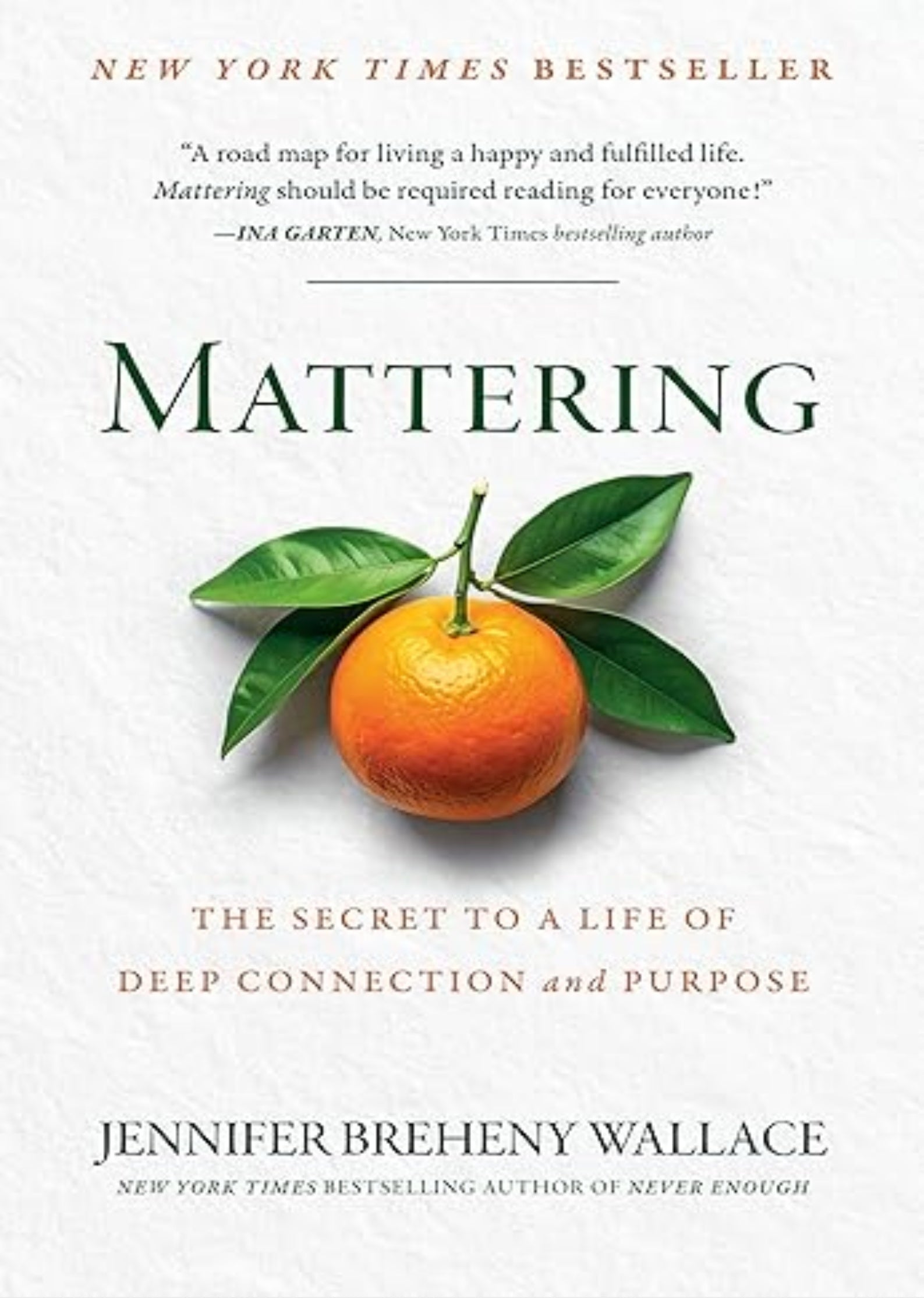Mattering: The Secret to a Life of Deep Connection and Purpose