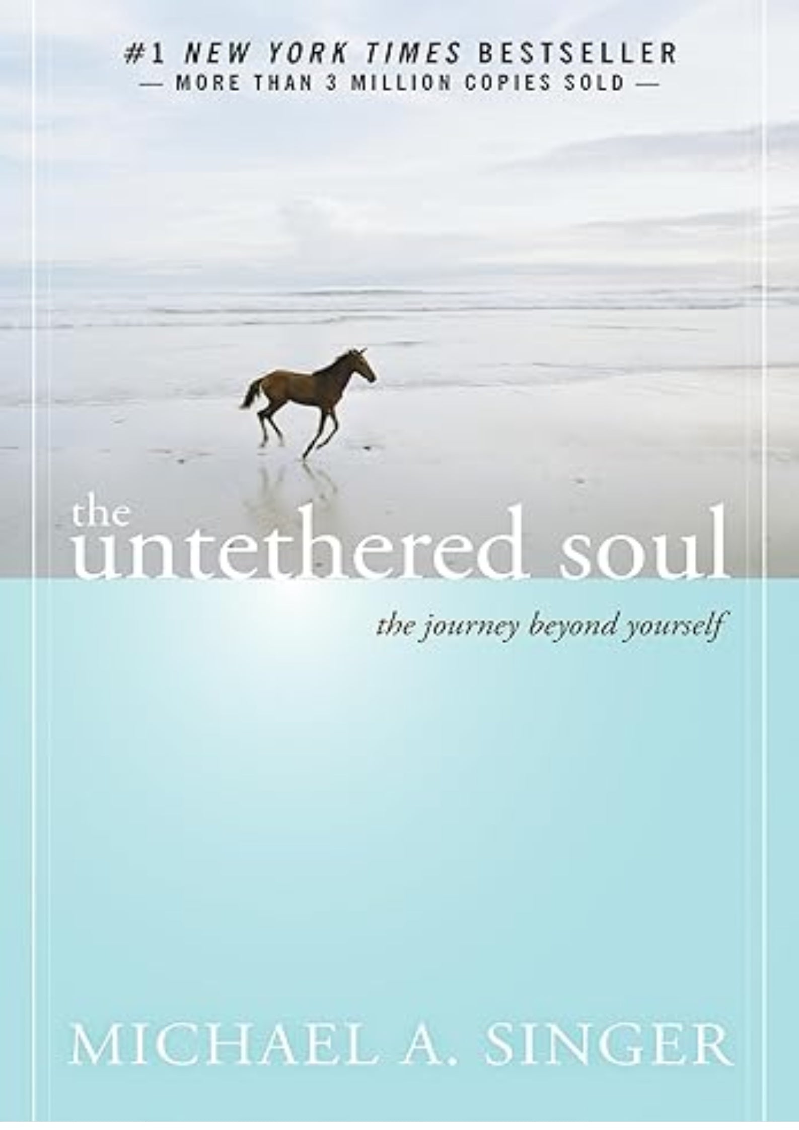 The Untethered Soul: The Journey Beyond Yourself