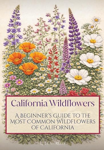 Title Book Cover