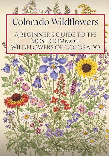 Title Book Cover