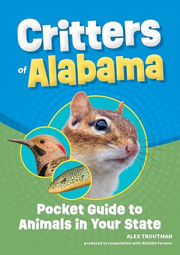 Title Book Cover