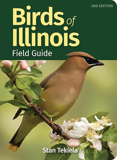 Title Book Cover