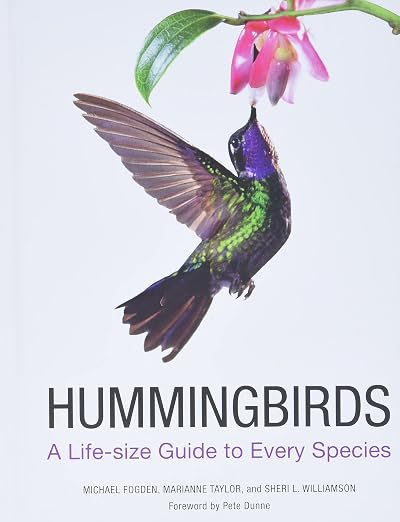Title Book Cover
