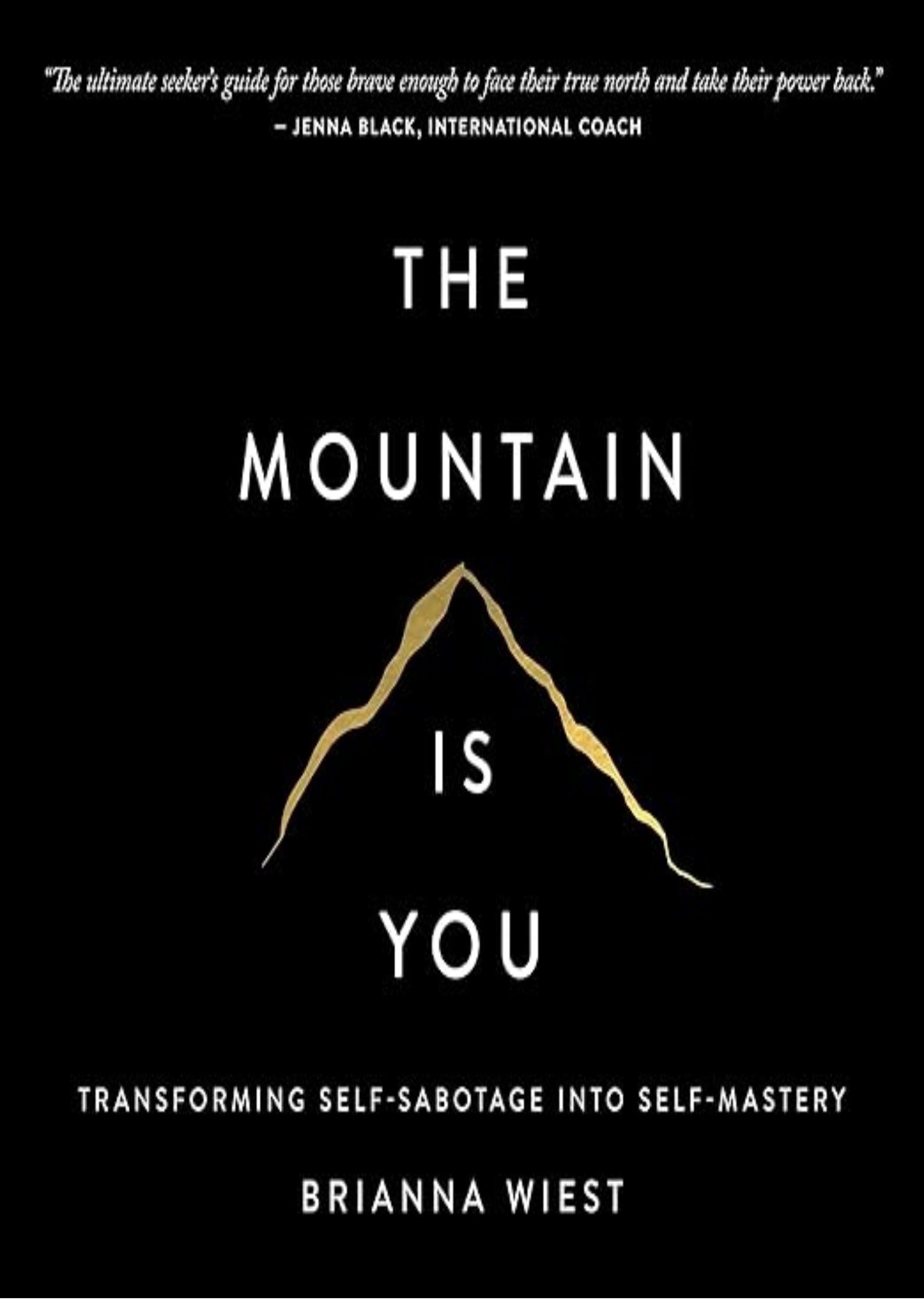 The Mountain Is You: Transforming Self-Sabotage into Self-Mastery