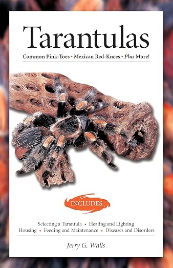 Title Book Cover