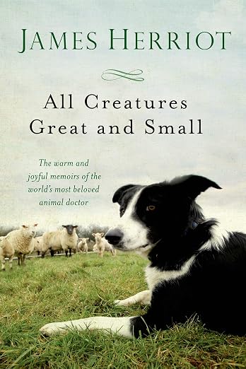 Title Book Cover