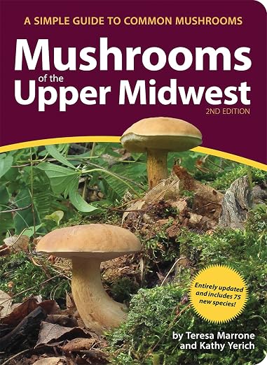 Title Book Cover