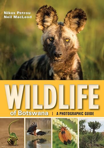 Title Book Cover