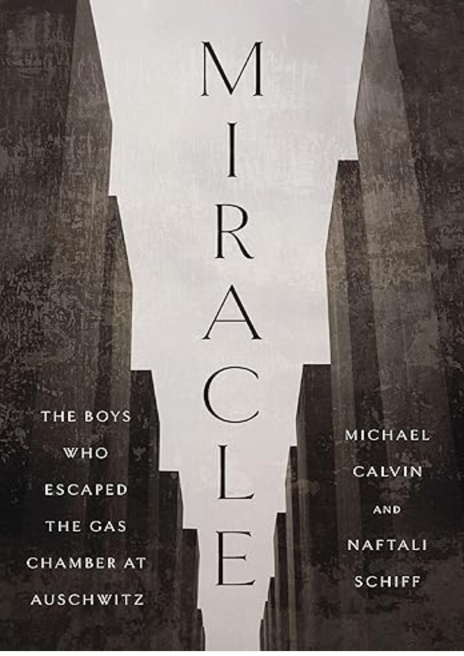 Miracle: The Boys Who Escaped the Gas Chamber at Auschwitz