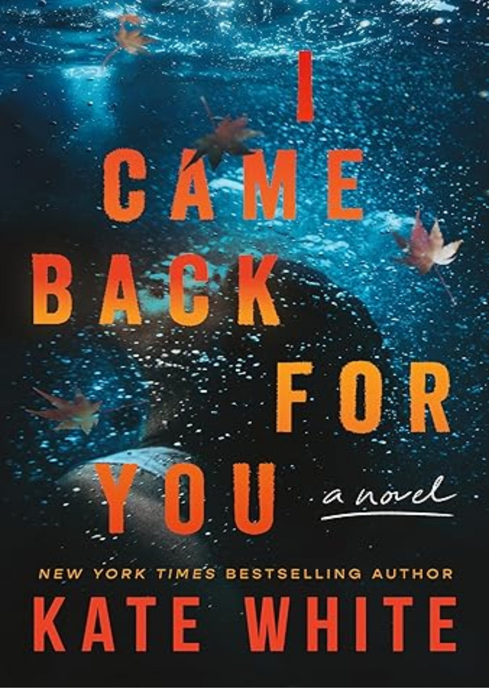I Came Back for You: A Novel
