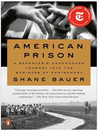 American Prison: A Reporter's Undercover Journey into the Business of Punishment