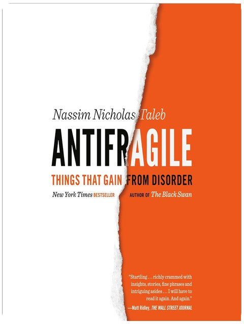 Antifragil: Dinge, die von Unordnung profitieren