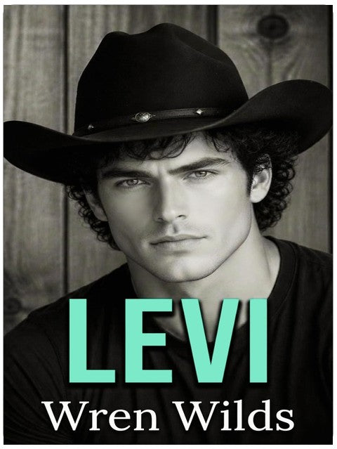 Levi : An M/M Romance (The Florida Panhandle Series Book 3)