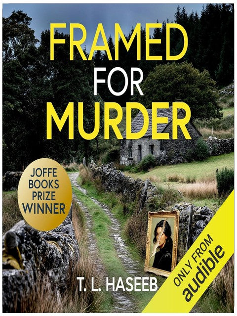 Framed for Murder: Detective Inspector Amber Kash Mysteries, Book 1