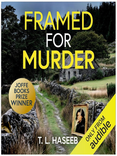 Framed for Murder: Detective Inspector Amber Kash Mysteries, Book 1