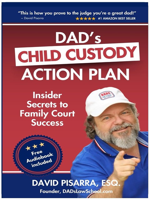 DAD'S CHILD CUSTODY ACTION PLAN: Insider Secrets to Family Court Success